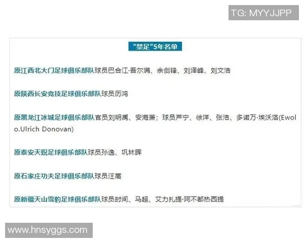 中国足球队外援球员名单及其在队表现分析 中国足球队外援球员名单及其在队表现分析